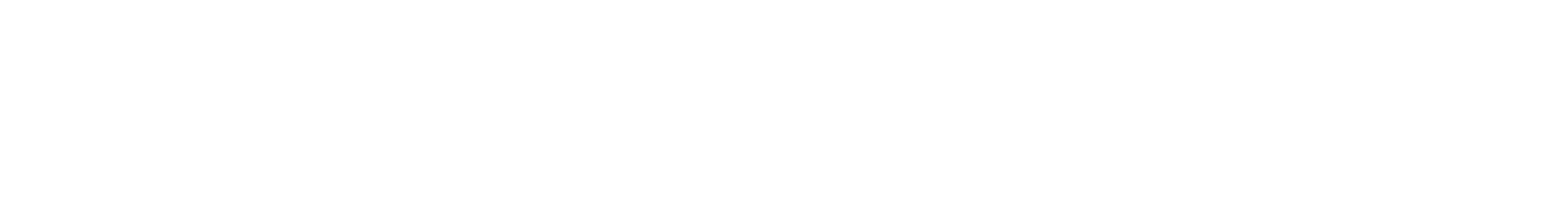Logo des Shops